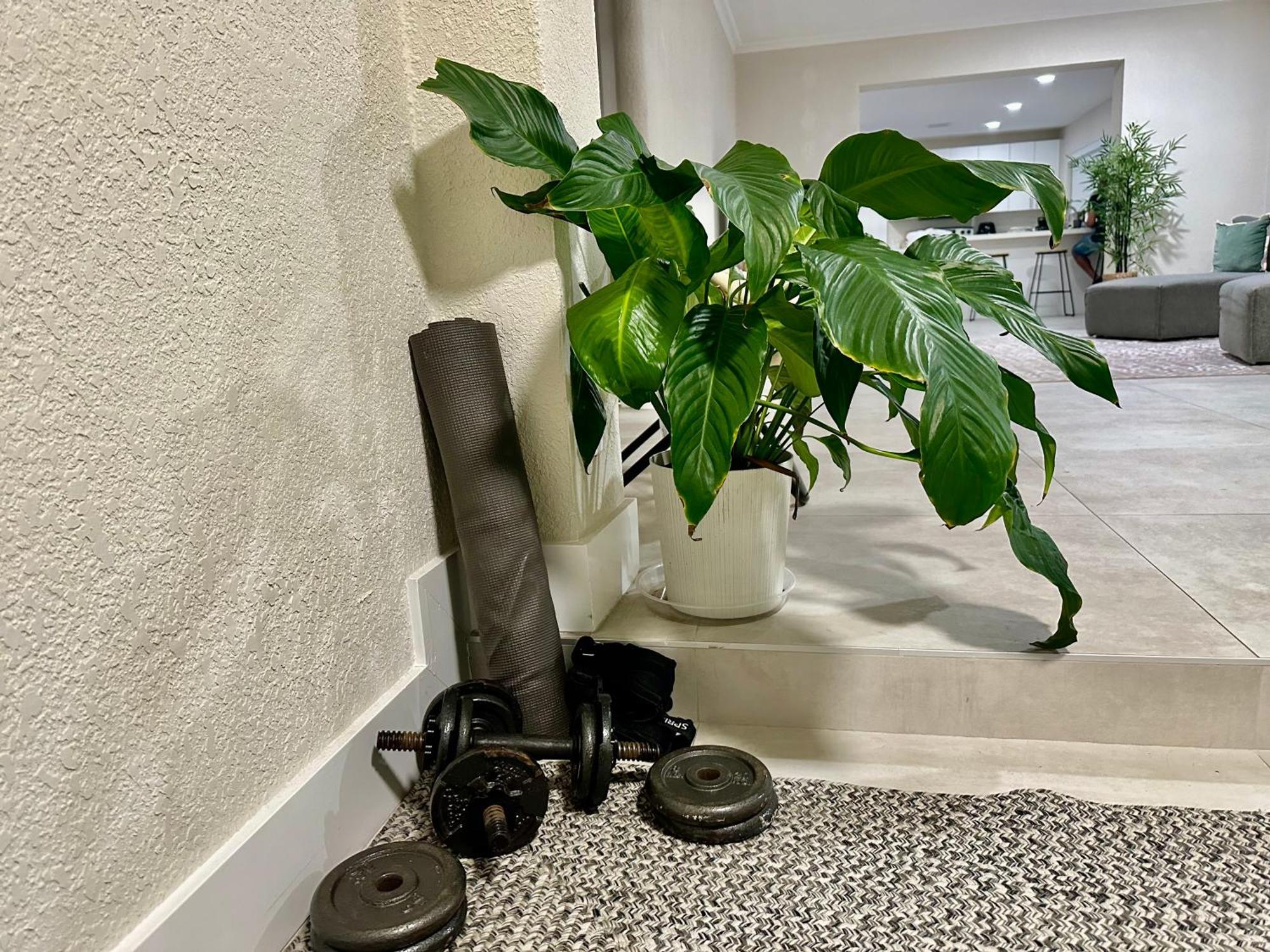 World Connect Miami Hostel Ngoại thất bức ảnh